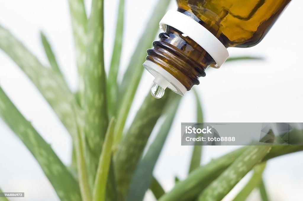 Medicina alternativa - Foto stock royalty-free di Aloe