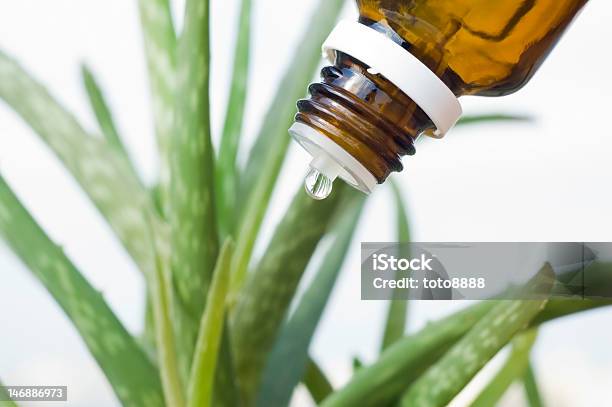Medicina Alternativa - Fotografie stock e altre immagini di Aloe - Aloe, Aloe vera, Ayurveda