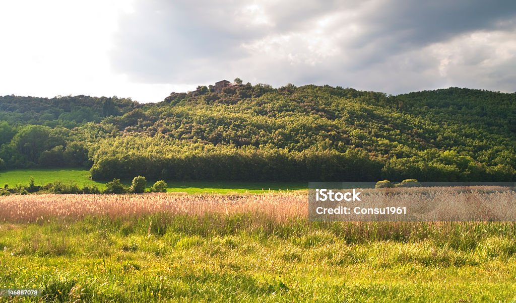 Montcortès - Foto de stock de Aire libre libre de derechos