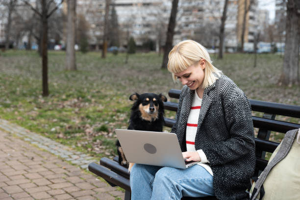 Young university girl sitting on bench with adopted dog working on laptop. She left the apartment for her student roommate boyfriend they need privacy because they share rented apartment or room stock photo