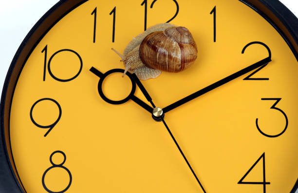 the snail is crawling on the clock face. - macro hour hand minute hand accuracy imagens e fotografias de stock