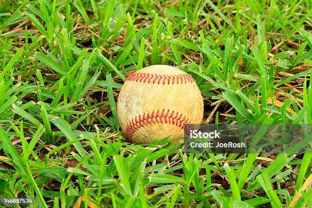 Photo libre de droit de Faible Angle De Baseball En Herbe banque d'images et plus d'images libres de droit de Adolescence - Adolescence, Balle de baseball, Baseball