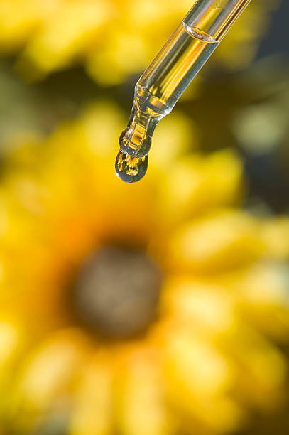istock Flower in blurry background with water droplet falling 146887655