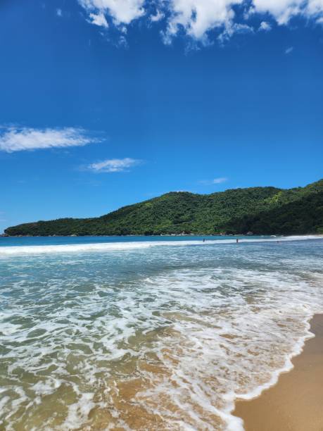 istock beautiful beach with nature 1468878776