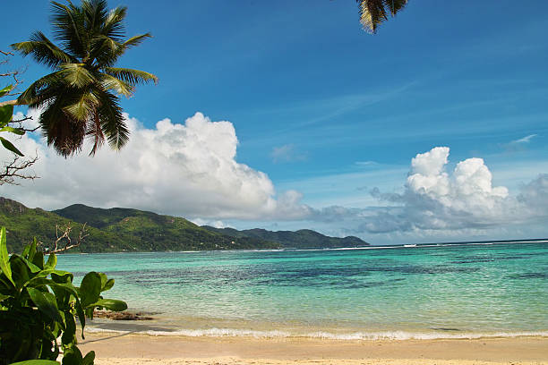 istock Beautiful beach of sunny paradice lagoon . 146888467