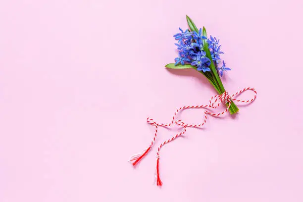 Fresh beautiful bouquet of the first spring forest bluebell, mercury, snowdrops flowers with red white cord martisor - traditional symbol of the first spring day on pink background