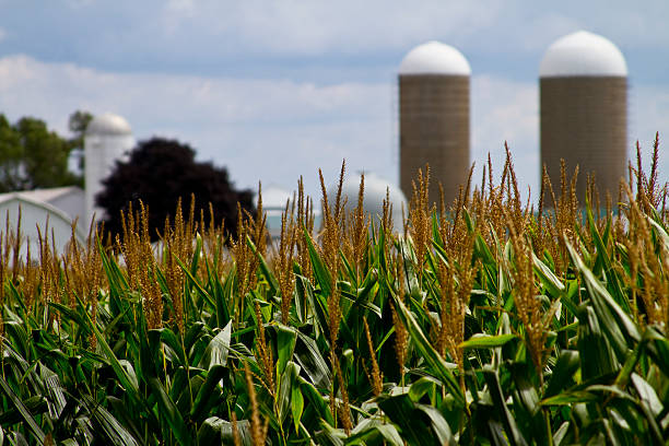 Midwest Field and Farm
