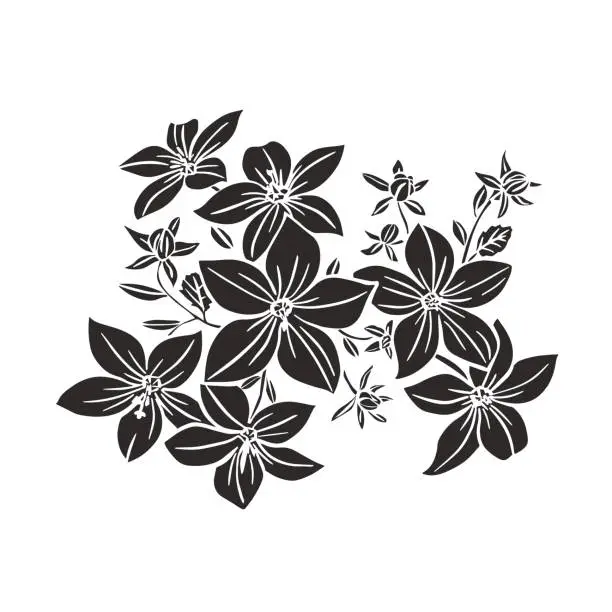 Vector illustration of Campanula sketch. Black outline on white background.