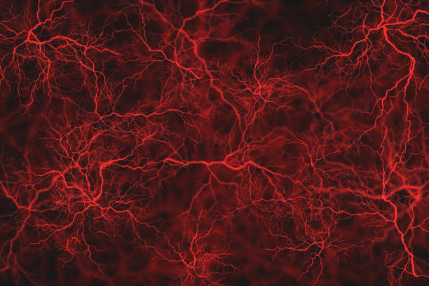 sistema vascular - veias - capilar vaso sanguíneo - fotografias e filmes do acervo