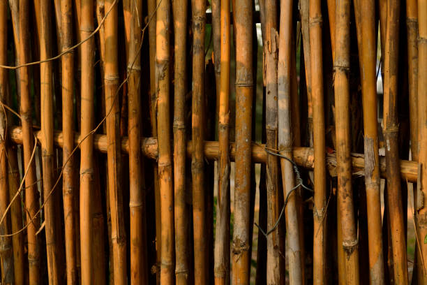 istock Bamboo fence made of bamboo rods. 1468890787