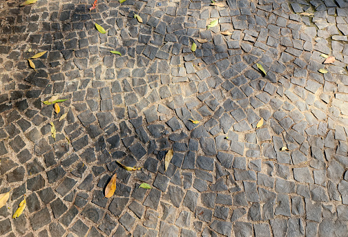 fallen leaves stone street
