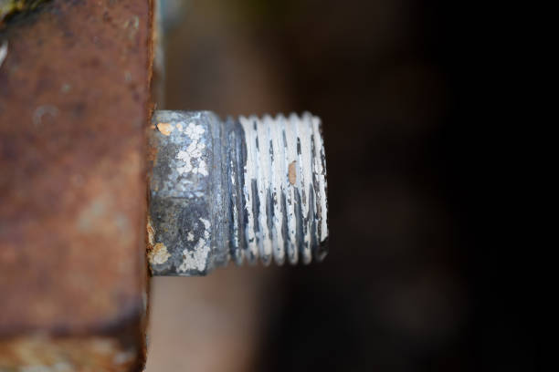 a wall-mounted faucet and hose connection.