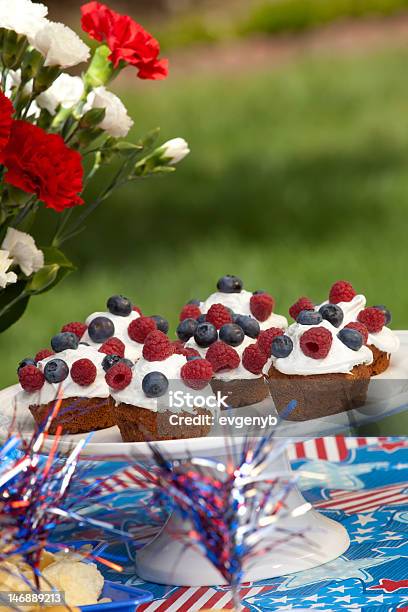 Picnic Estivo - Fotografie stock e altre immagini di Muffin - Dolci - Muffin - Dolci, Picnic, Ambientazione esterna