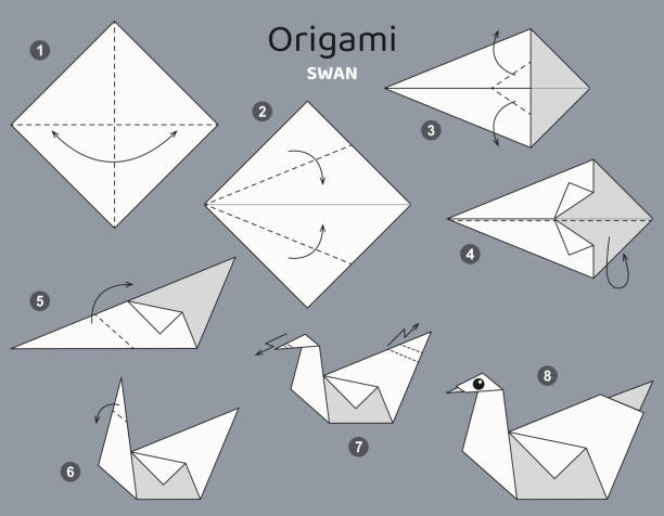 Origami Trace 1,600+ Origami Instructions Stock Illustrations, Royalty-Free Vector ...