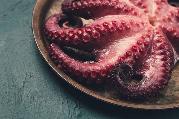 istock Boiled octopus, close-up, rustic style, no people, top view, close-up, 1468893978