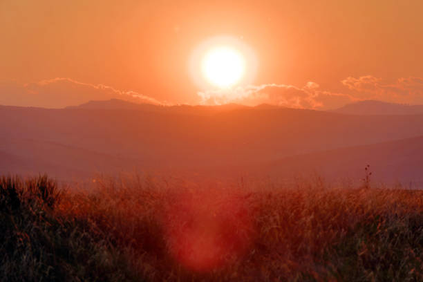 Beautiful scenery with hills and meadows in evening light.