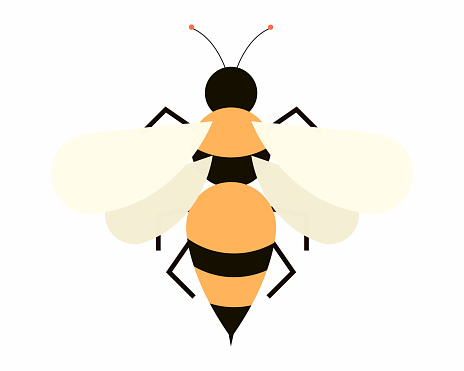 Honey Symbol Drawing Cartoon Bee Fly Insect free vector