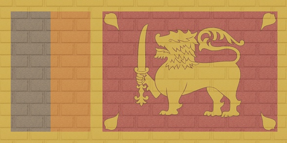 3D render of Brick Wall painted with the flag of Sri Lanka