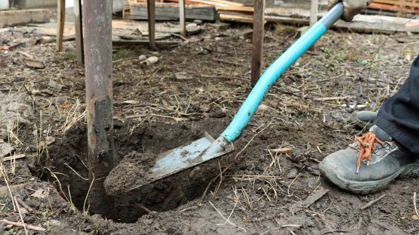 istock shoveling a hole for uprooting a post 1468897836