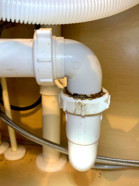 istock Leaking pipes under residential sink close up 1468898865