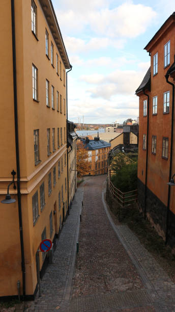 istock A empty alley amidst buildings in city 1468900847