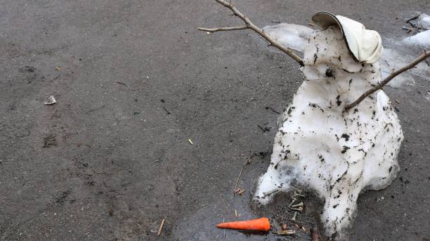 The figure of funny snowman animal with a mustache of twigs in snowy field during winter snowfall. Snow sculpture of happy clumsy cat or bear, winter outdoor activities background with copy space.