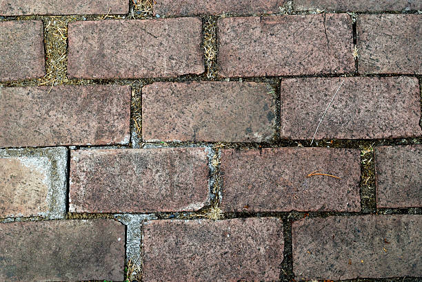 Brick path stock photo