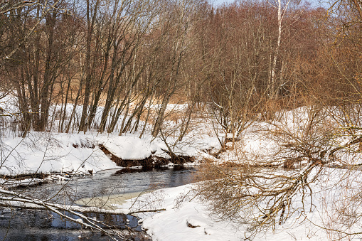 Spring landscape with a raging river and a snow-covered shore. Bare trees on the shore, last year's grass on thawed patches. Nature landscape springtime background