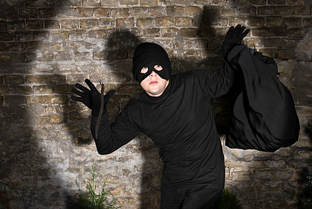 ladrón busted policía, lo que le rodea de luz - busted fotografías e imágenes de stock