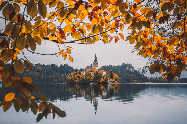 beautiful autumn scenery of lake bled with the bled island in gorenjska, slovenia - julian alps mountain lake reflection imagens e fotografias de stock