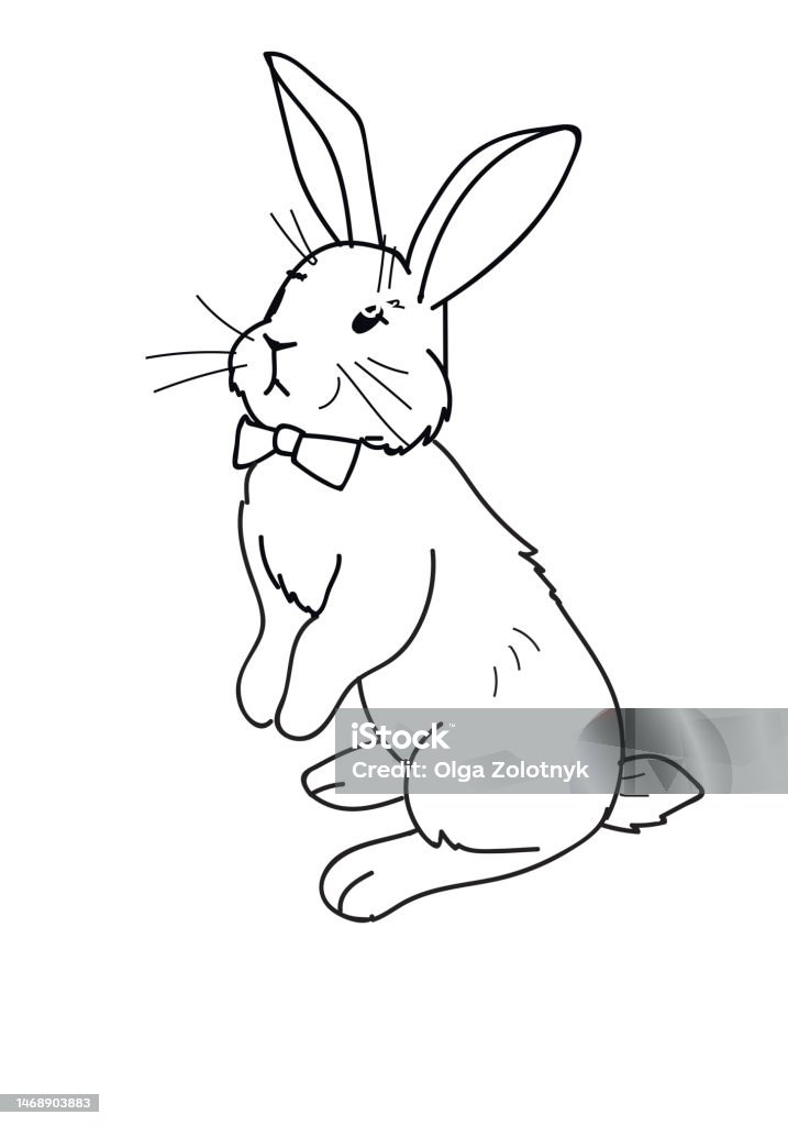 Phác Thảo Bunny Tranh Tuyến Tính Thỏ Màu Hình Bóng Thỏ Đơn Sắc Dấu Hiệu  Phục Sinh Biểu Tượng Thiết Kế Phác Thảo Bunny Nhân Vật Đường Viền Thỏ Tô Màu  Vẽ