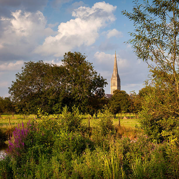 istock Summer evening, Salisbury Cathedral, Wiltshire, UK 146890409