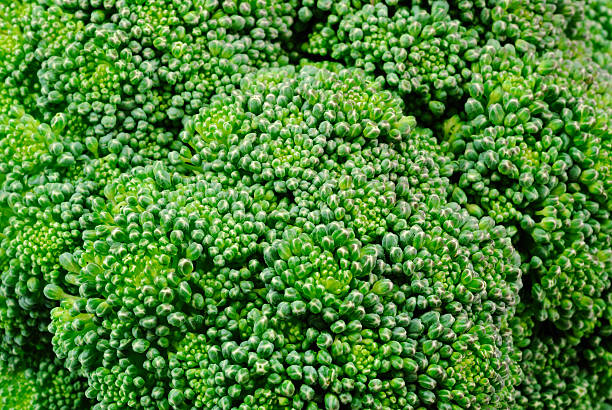 photo macro de green Brocoli fleurs - Photo