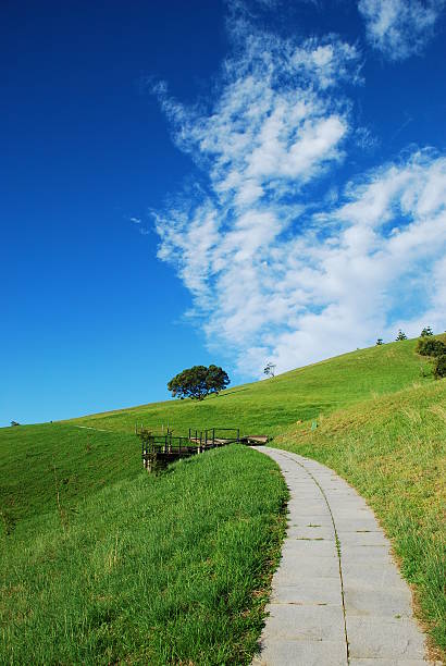 istock stone track up to hill 146890746