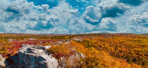 george washington national forest e jefferson national forest - canaan valley foto e immagini stock