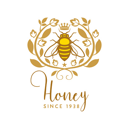 Vector Illustration of a Beautiful Label or Flyer Layout with Honey Bee and Natural Elements Template Design