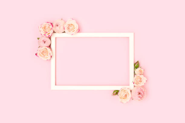 istock Border frame made of rose flowers on a pink background. 1468913180