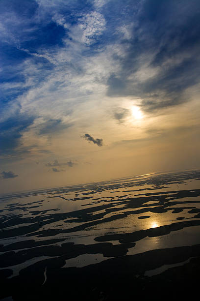 Zachód słońca nad Bayou – zdjęcie