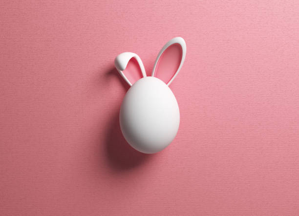 easter egg and rabbit ear on pink color background - easter egg imagens e fotografias de stock