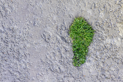 The pit in the concrete floor in the form of the human footprint is grown with green grass. Ecology and life concept.
