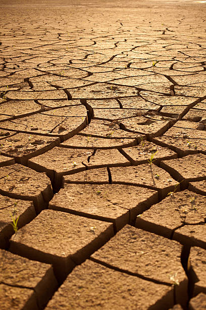 Cracked dry land stock photo