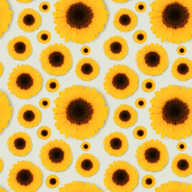 Photo of Seamless pattern made of sunflower.