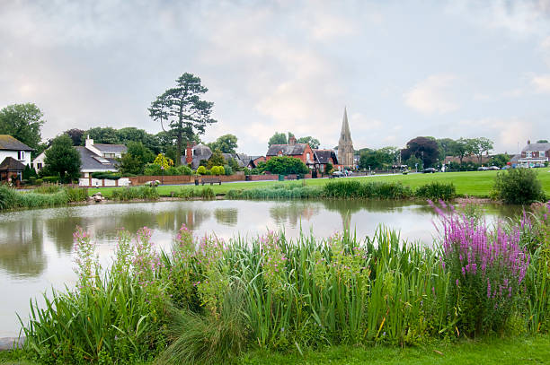 Village Pond and green Wrea Green in Lancashire, with the village pond in the foreground with reeds and flowers lytham st. annes stock pictures, royalty-free photos & images