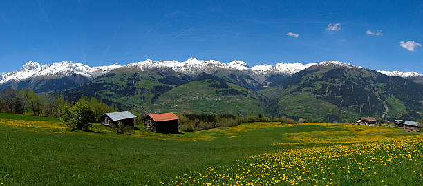 весной в горах (xl - graubunden canton surselva panoramic scenics стоковые фото и изображения
