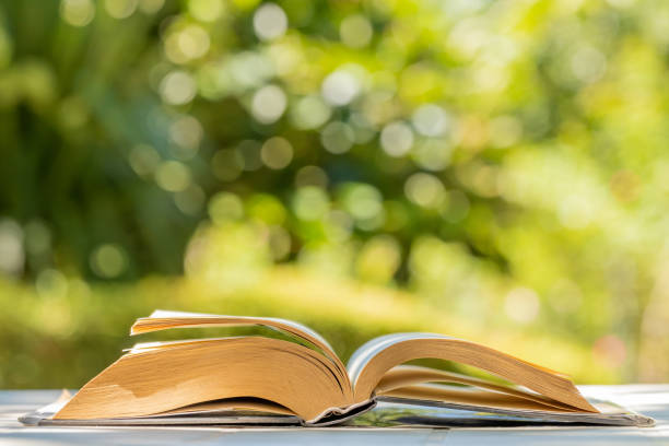 istock open books on green natural background 1468917310
