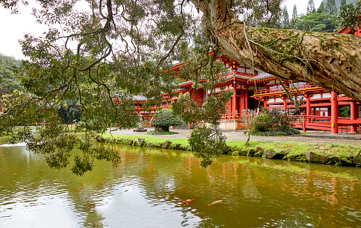 Kahaluu, Oahu, Hawaii, USA - February 7, 2023: Byodo-In Temple, a non-denominational Buddhist temple on Oahu is a replica of an ancient Japanese Temple.  Side view with pond looking through tree