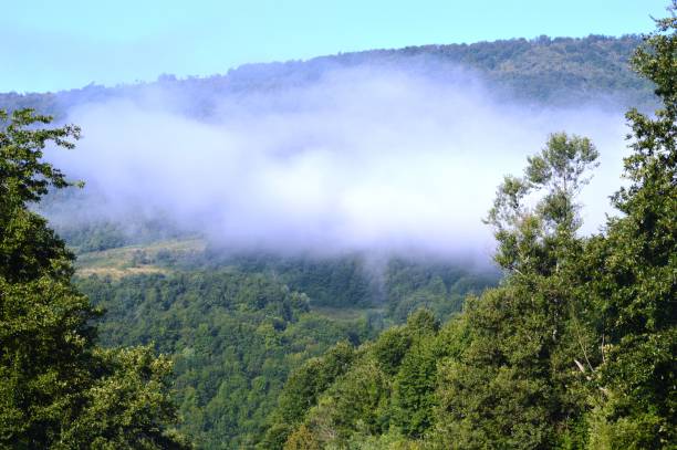 istock foggy morning on the mountain 1468923740
