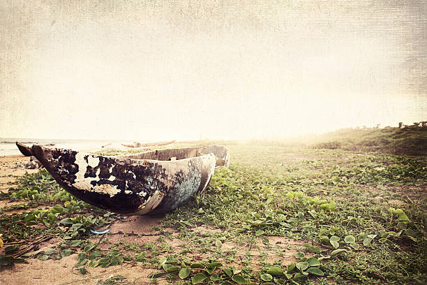 fishing boat sitting on beach surrounded by vines, texture added