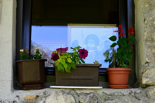flowers and an icon on the window