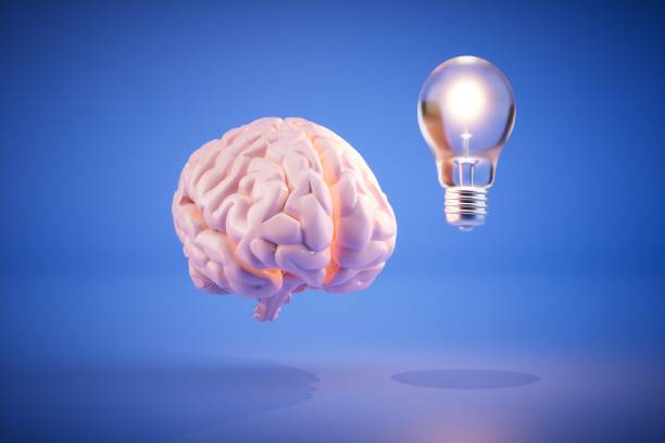 istock the concept of idea generation. the brain next to a burning light bulb on a blue background. 3D render 1468925986